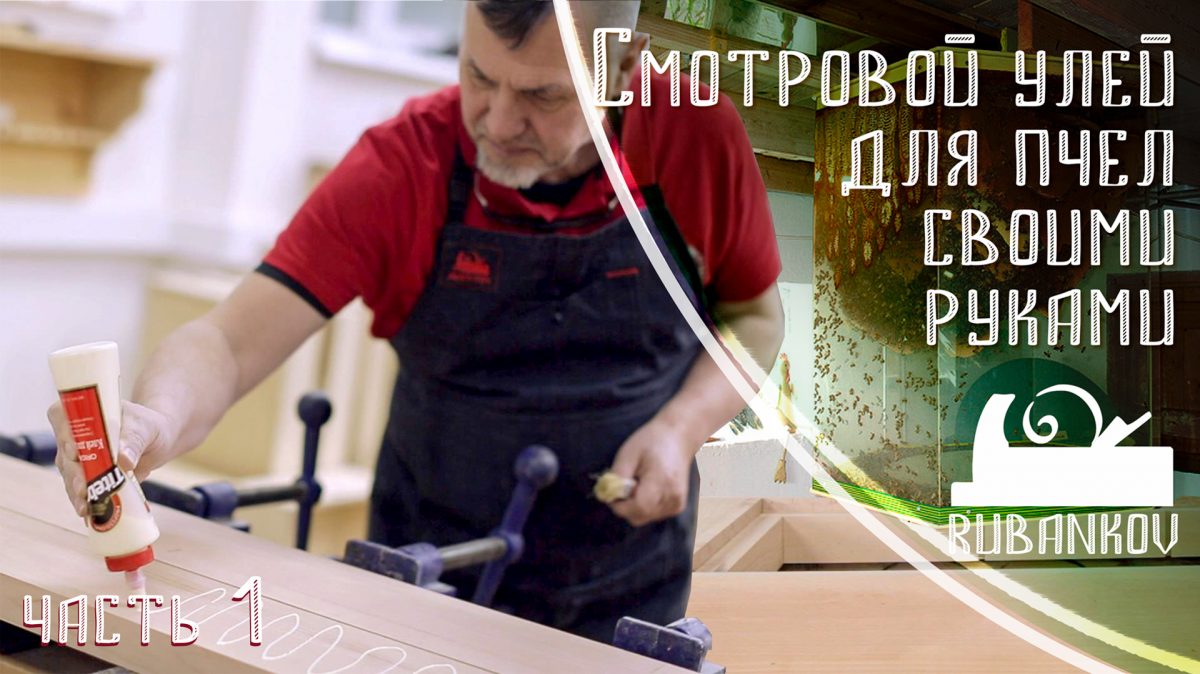 Как сделать смотровой улей своими руками